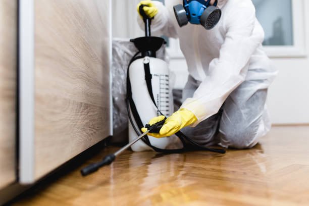 New Brockton, AL Pest Control Company