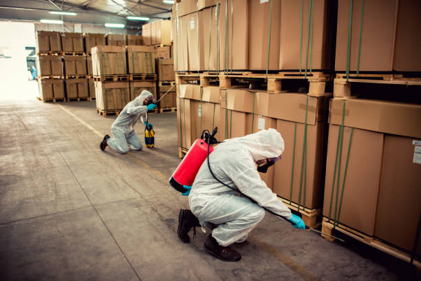 Best Affordable Pest Control Services  in New Brockton, AL