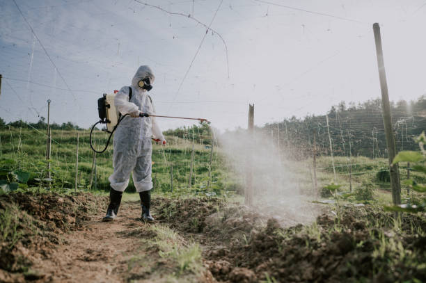 Best Commercial Pest Control Services  in New Brockton, AL