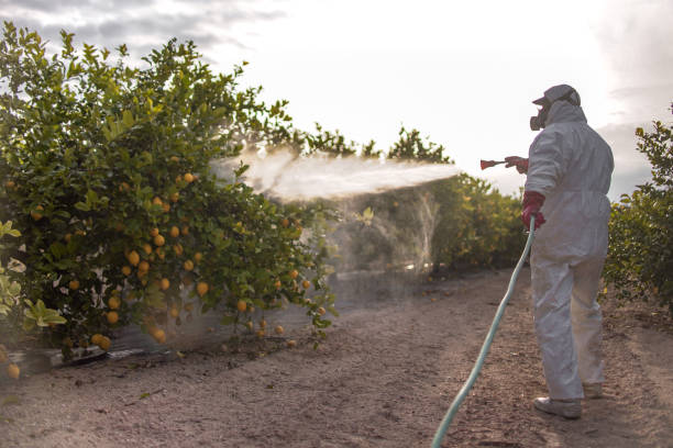 Best Cockroach Control Services  in New Brockton, AL