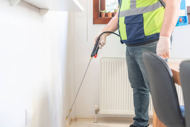 Professional Pest Control in New Brockton, AL