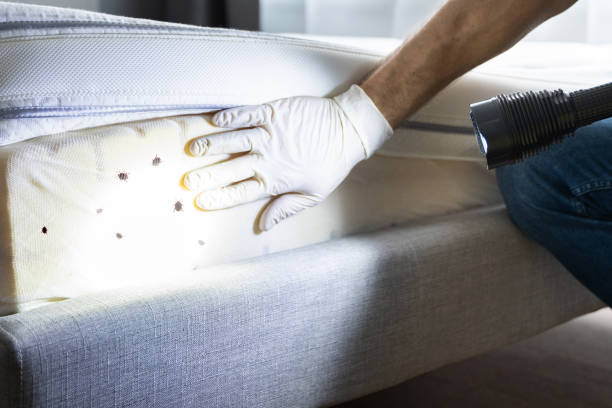 Best Residential Pest Control  in New Brockton, AL