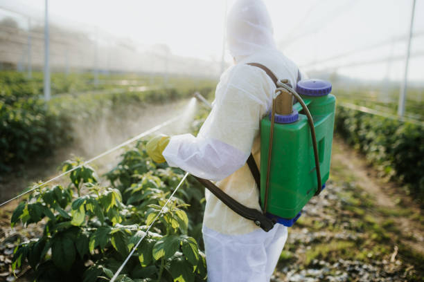 Best Local Pest Control Services  in New Brockton, AL